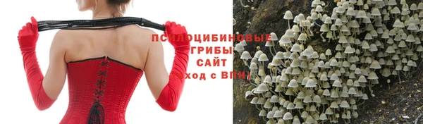 метадон Аркадак