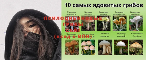 ALPHA PVP Арсеньев