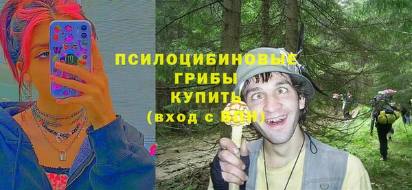 метадон Аркадак